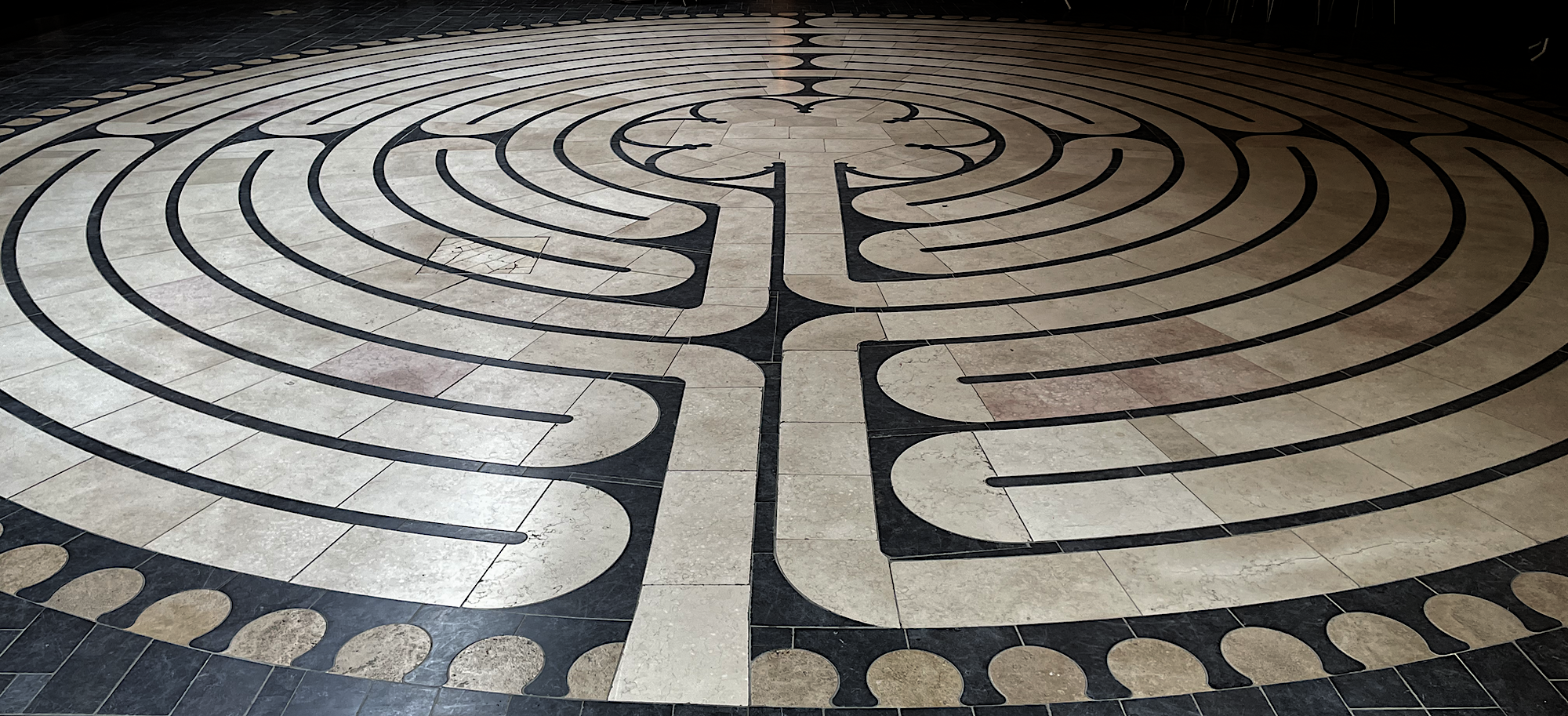 Dynamische Urteilsbildung